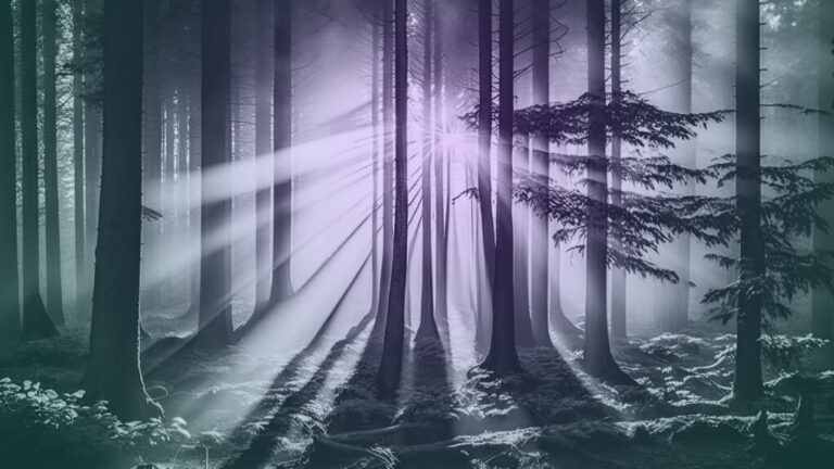 Illuminating the Blind Spots: What Executives Overlooked in Hybrid Working