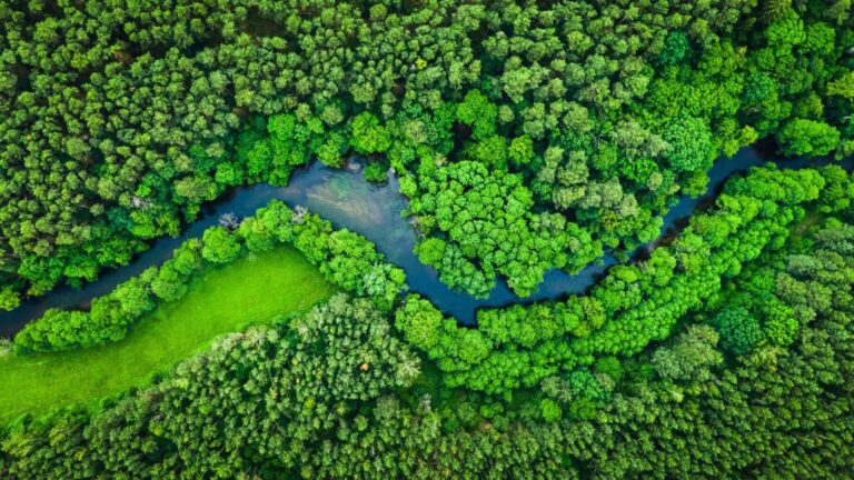 CBR Leverages ARIS for Government Licensing Process Optimization