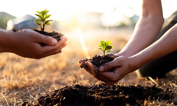 DO look up: With sustainable processes